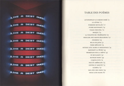 Henri Cole & Jenny Holzer - Vingt-deux poèmes