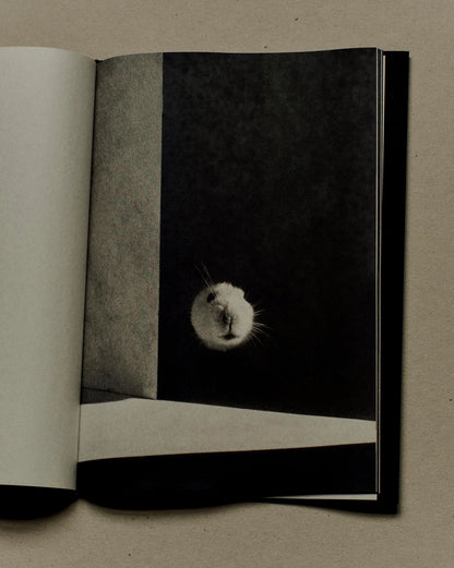 Jack Davison - A is for Ant (Children's Edition)