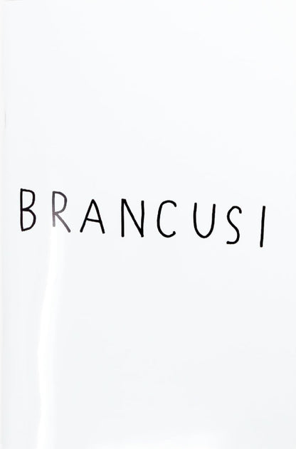 Masanao Hirayama - Brancusi