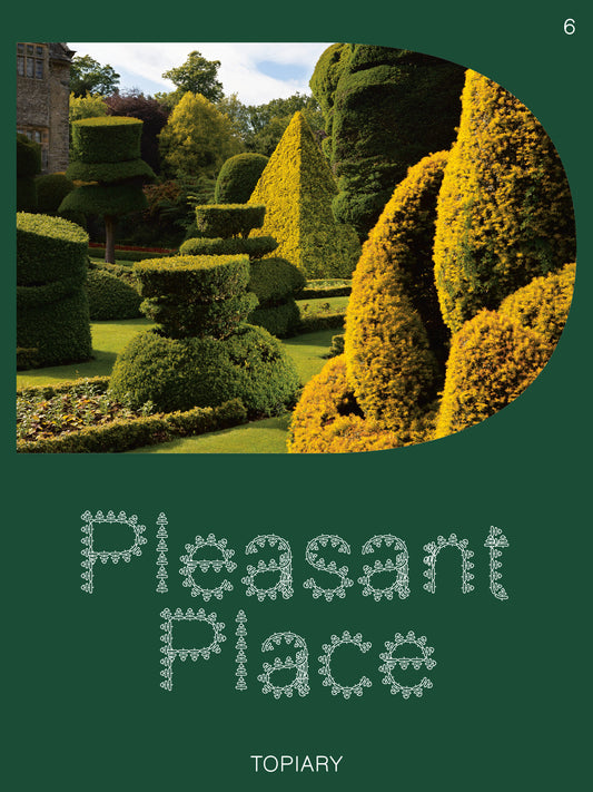 Pleasant Place - Issue 6 