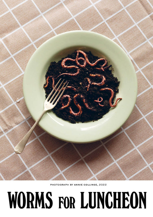 Worms for Luncheon