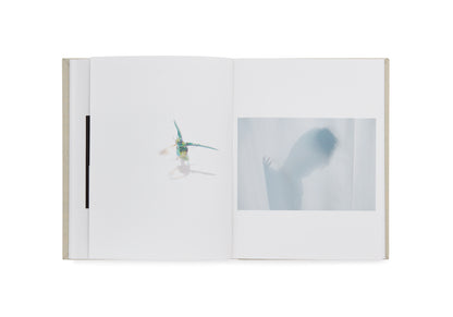 Rinko Kawauchi - as it is