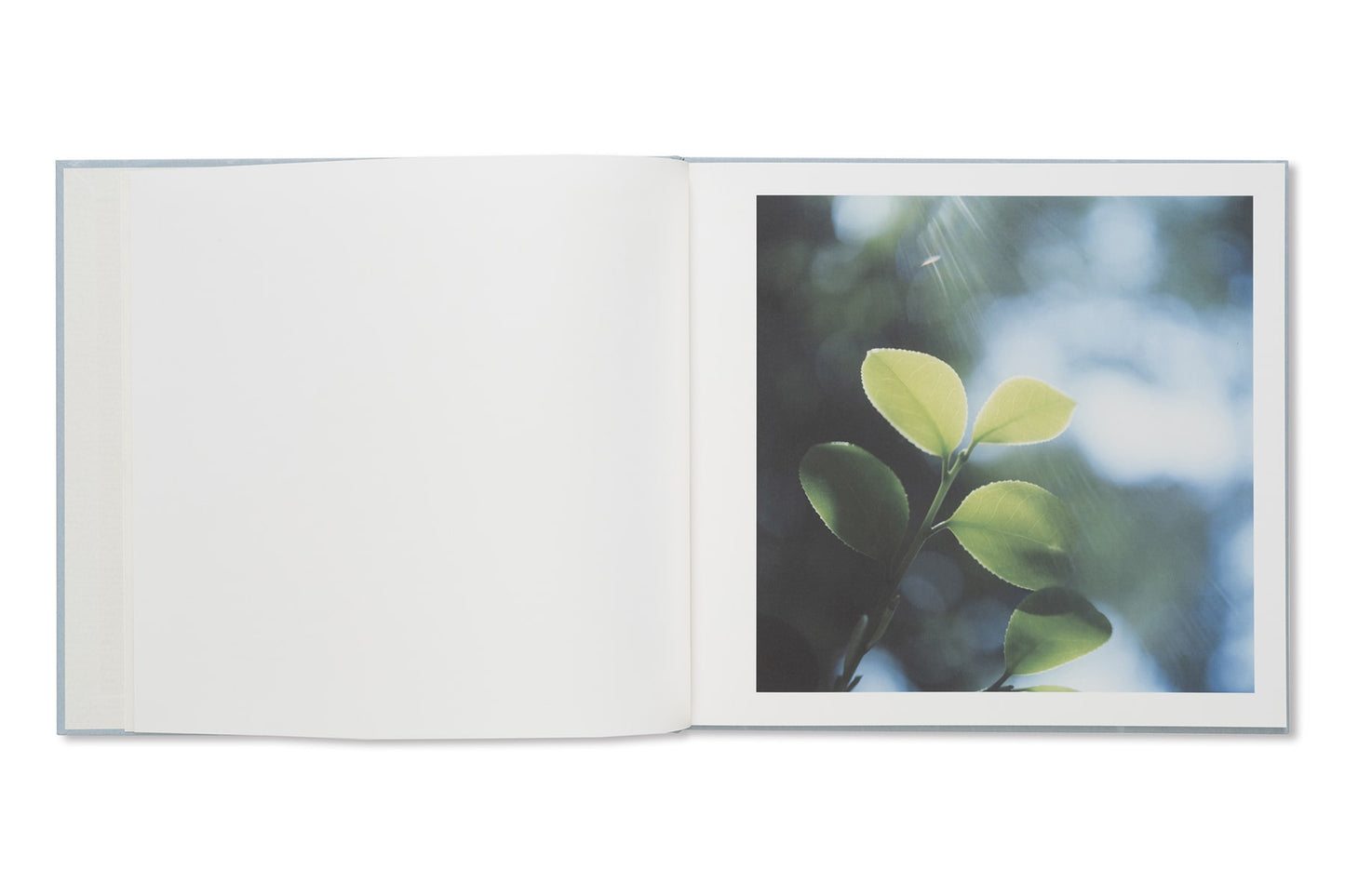 Rinko Kawauchi - Here and Now