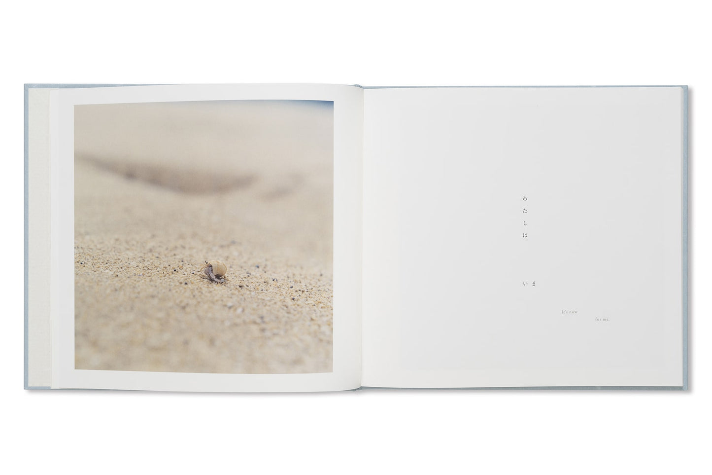 Rinko Kawauchi - Here and Now