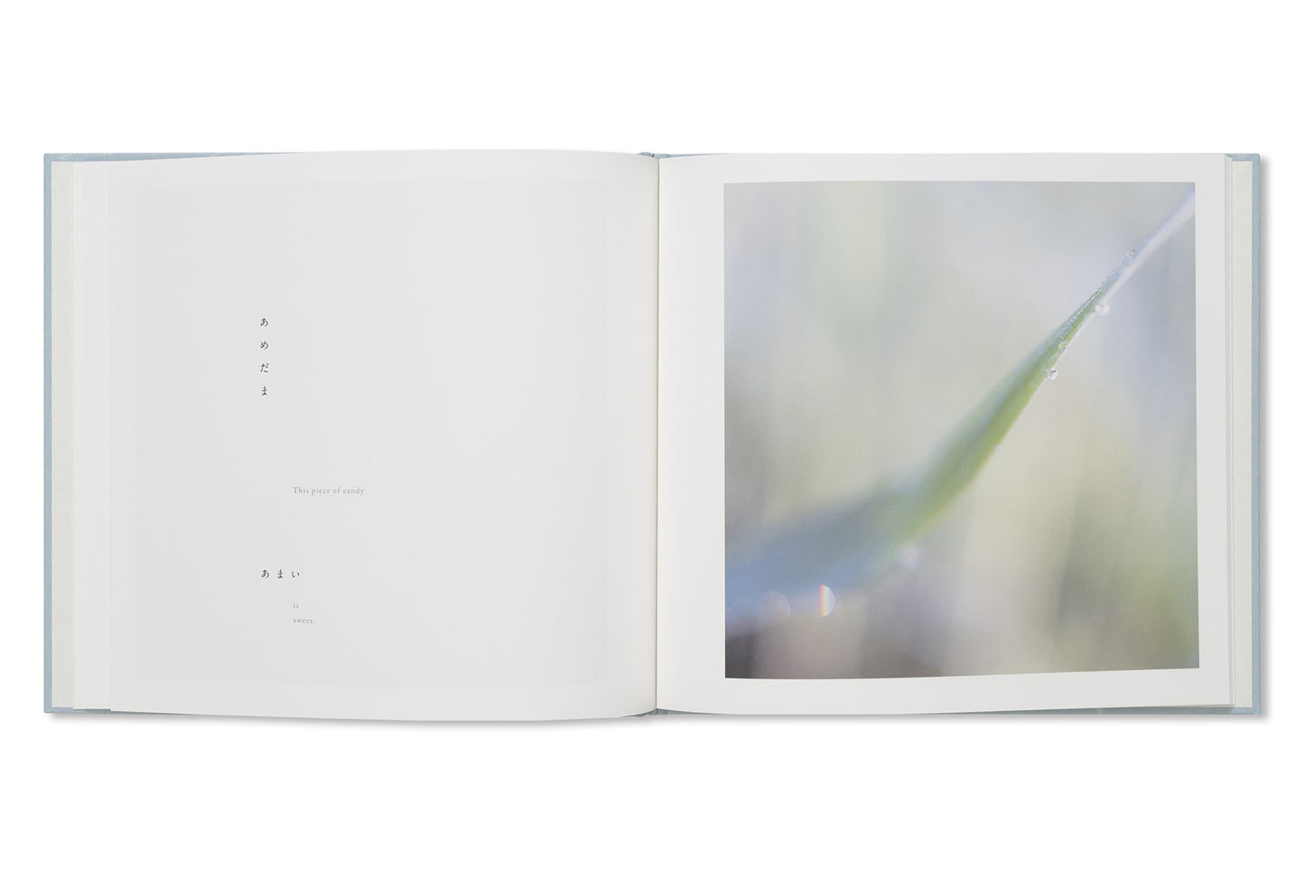 Rinko Kawauchi - Here and Now