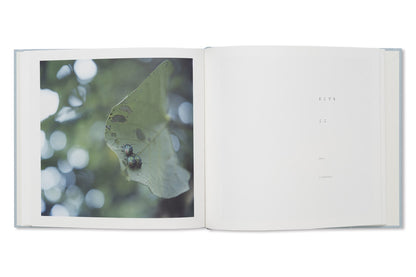 Rinko Kawauchi - Here and Now