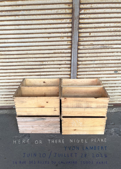 Nigel Peake - Here or There (Poster)