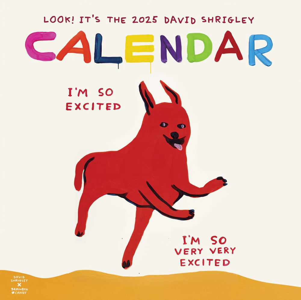 David Shrigley - 2025 Calendar