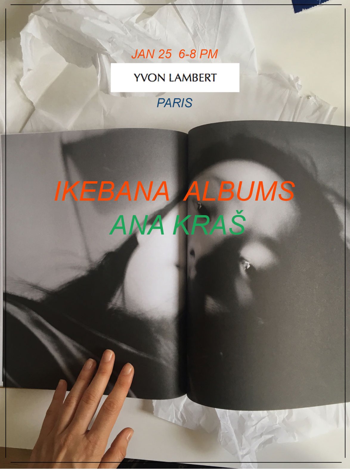 Ana Kraš - Ikebana Albums – Yvon Lambert Paris